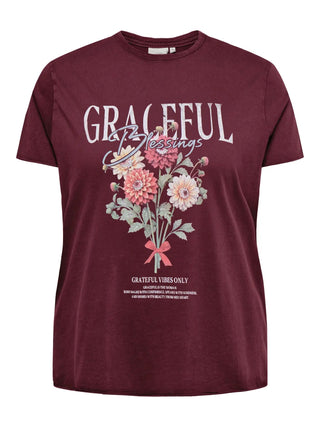 CARLUCY REG S/S TOP JRS NOOS Fig Graceful blessings