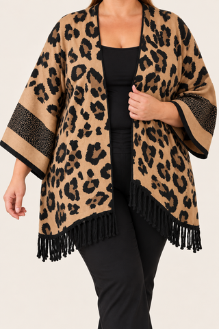 Ponchovest Isla