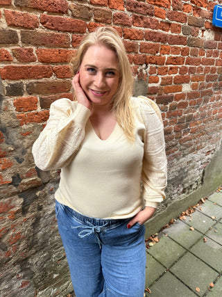 VMCNEWLIMONE LS V-NECK PULLOVER BOO CUR Birch