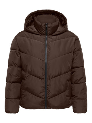 CARCLAIR SHORT HOOD PUFFER JACKET OTW Chocolate Brown